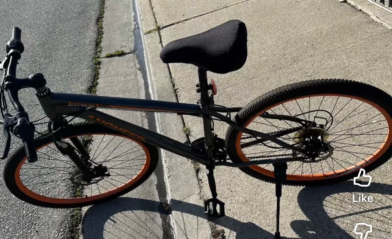 hybrid bike
