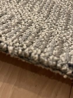 Carpet Low Pile 5’x12’