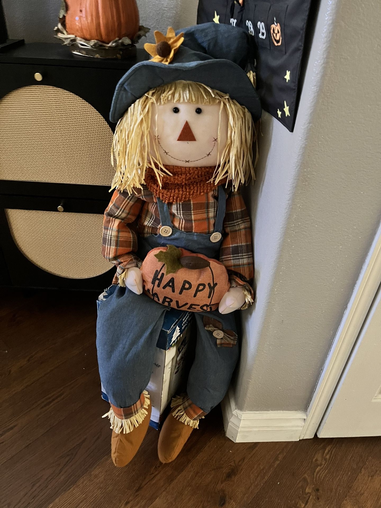 Never Used Scarecrow