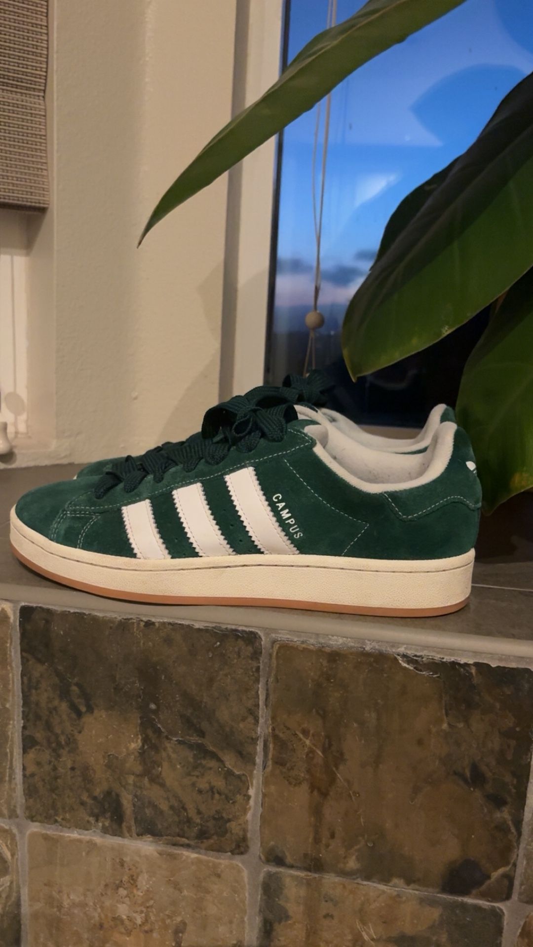Dark Green Adidas Campus
