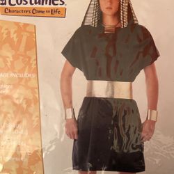 Halloween Costume Pharaoh Adult Size L $15