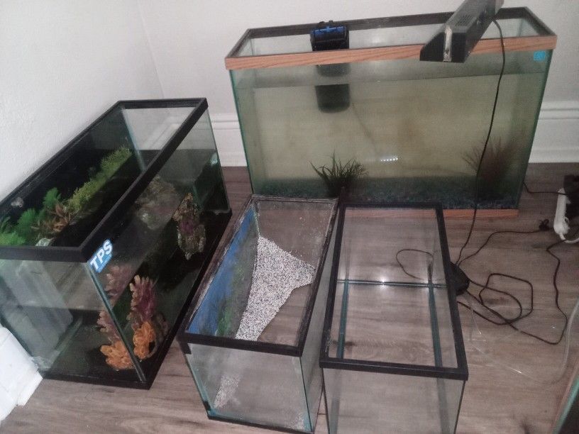 Aquariums