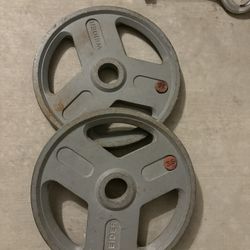 35lb x2 Weights/ Plates 