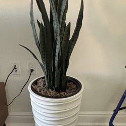 Snake Plant In  Vase-artificial 