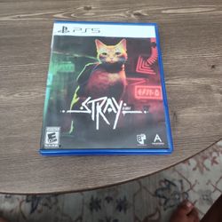 PS5 Game Stray