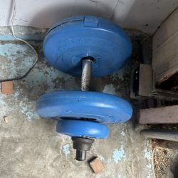 Single Dumbbell With Extra Weights 