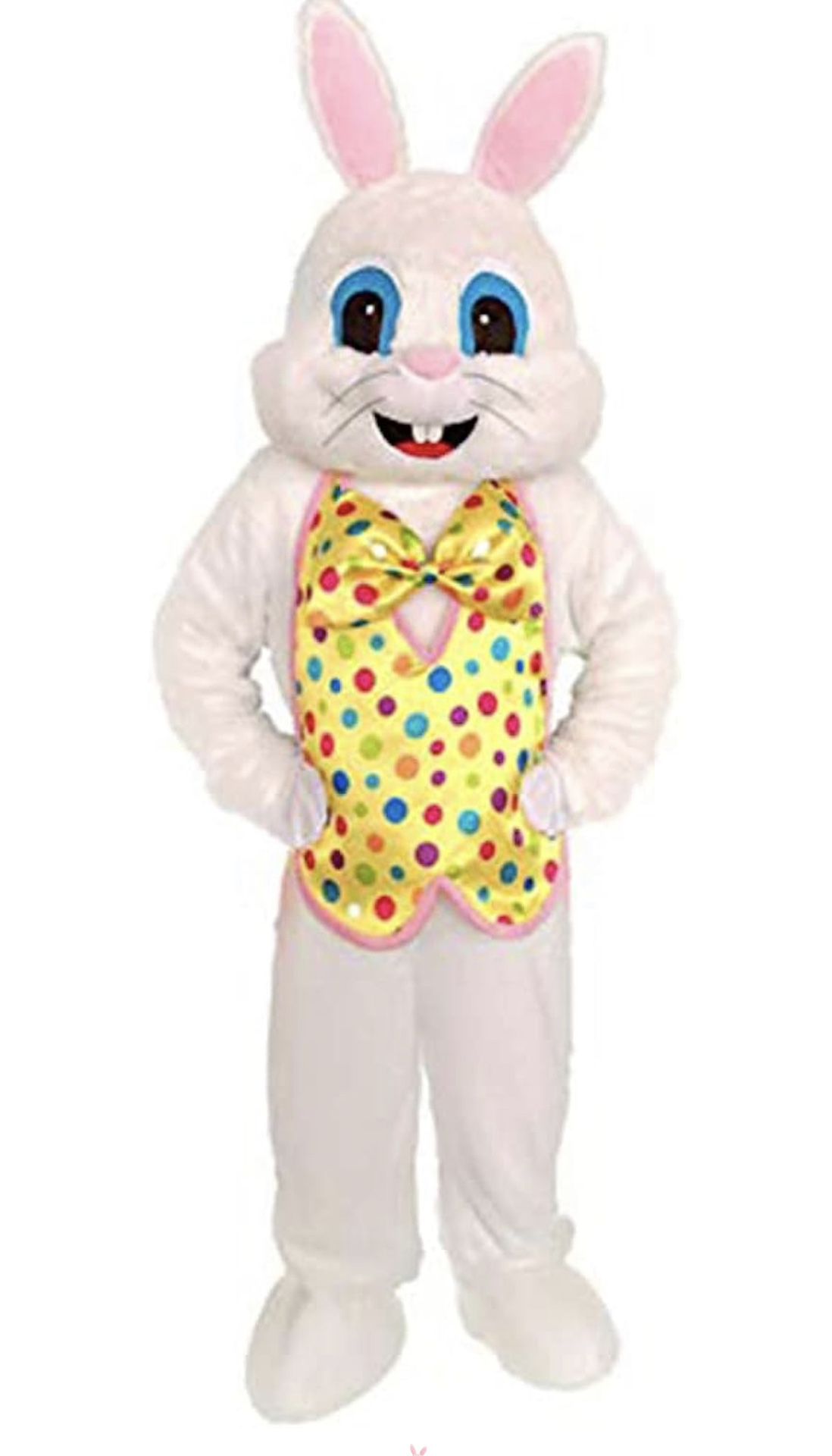 Easter bunny Character