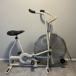 Schwinn Airdyne