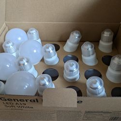 Light bulbs