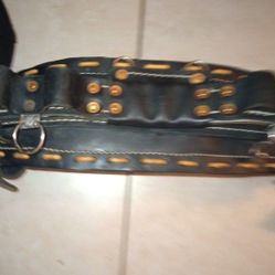 Climbing Gear For Poles Have Just The Belt And Fall Safebelt