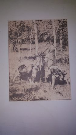 Authentic 19th century American Indian picture