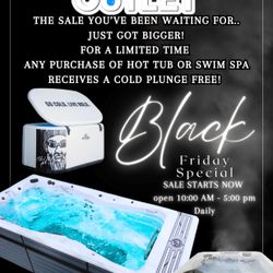 Master Spas - Hot Tub