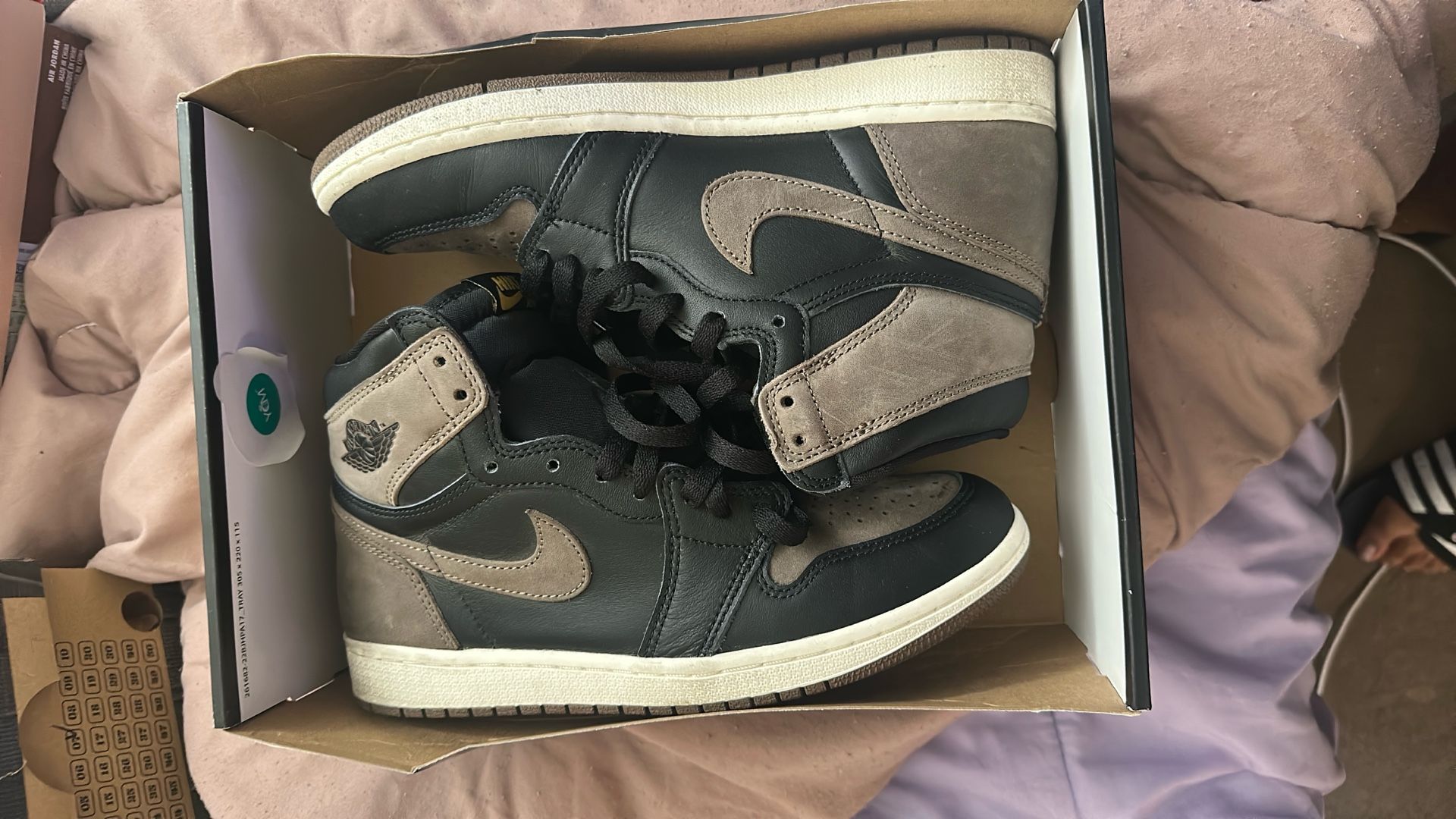Palomino Jordan 1 Size 7.5m
