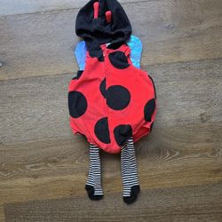Ladybug 12 Month Halloween Costume