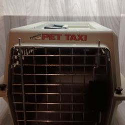 Small Pet Taxi