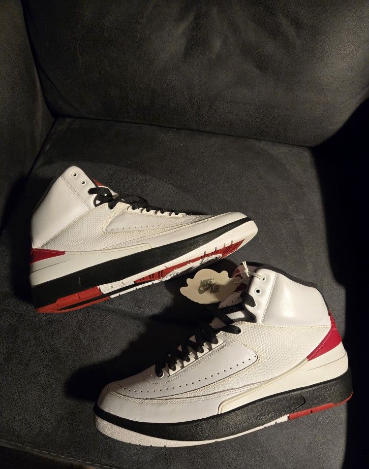 Chicago Jordan 2 Sz 10.5