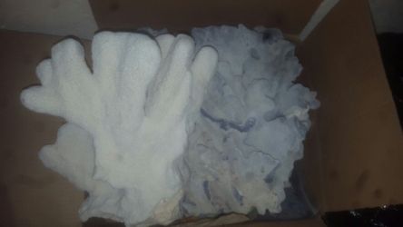 2 large pieces of coral.. 1 blue ridge 1cats paw