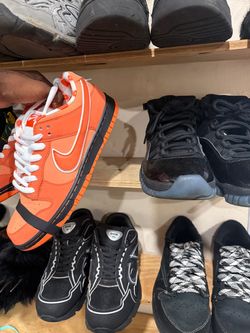 Nike sb orange lobster brand new