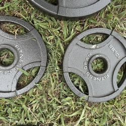 10 Lbs Weight Plates 2 Inches