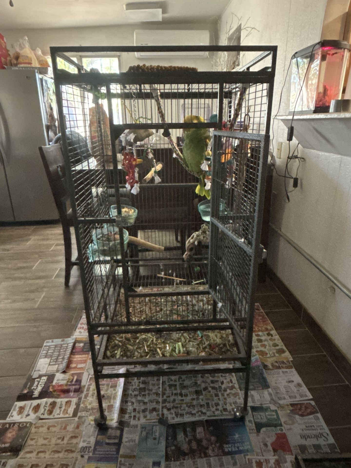 Bird Cage