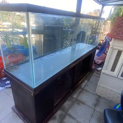 Fish Tank/Aquarium 