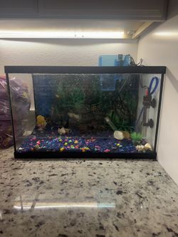 Fish Tank Comes With Everything To Get Started