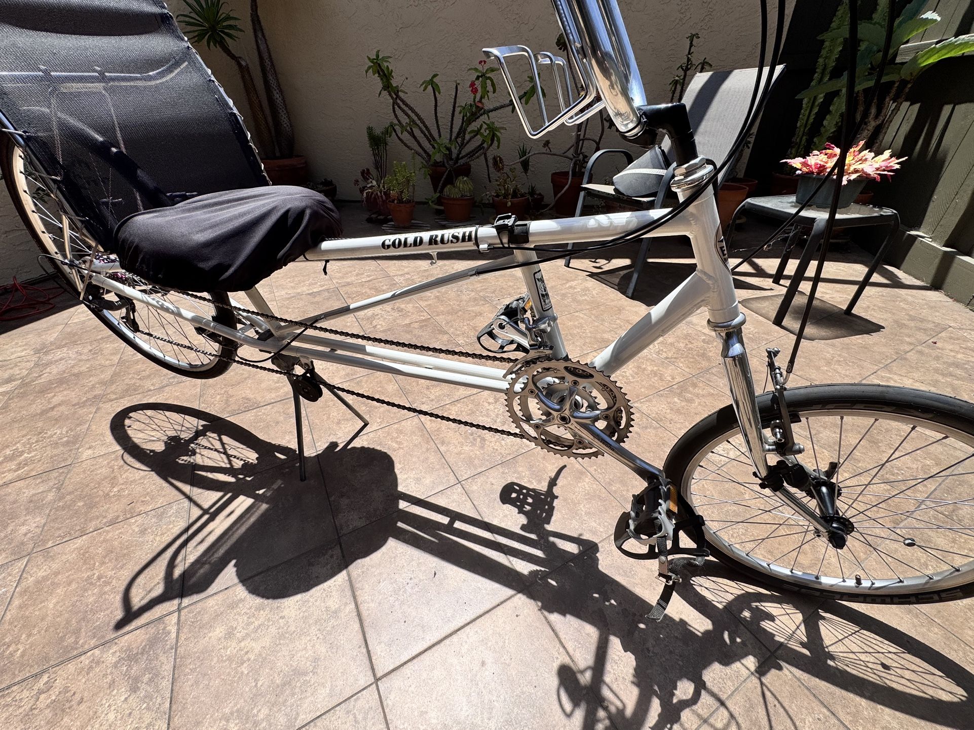 2 Easy Racer Recumbent Bicycles 