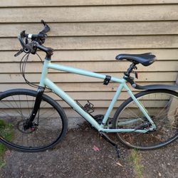 Specialized Globe