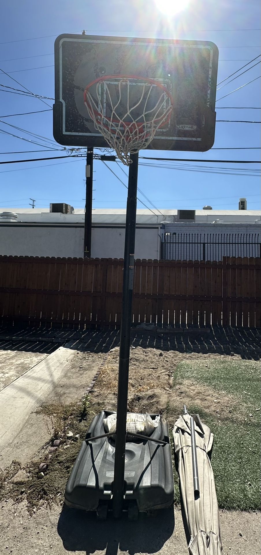 Lifetime Basketball Hoop