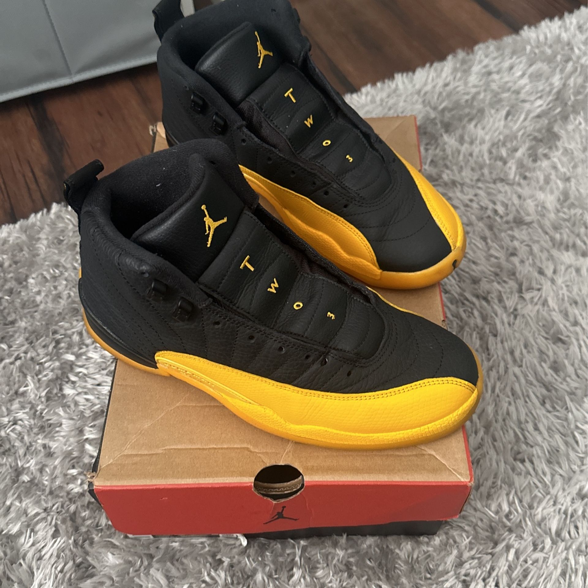 Air Jordan 12 Retro