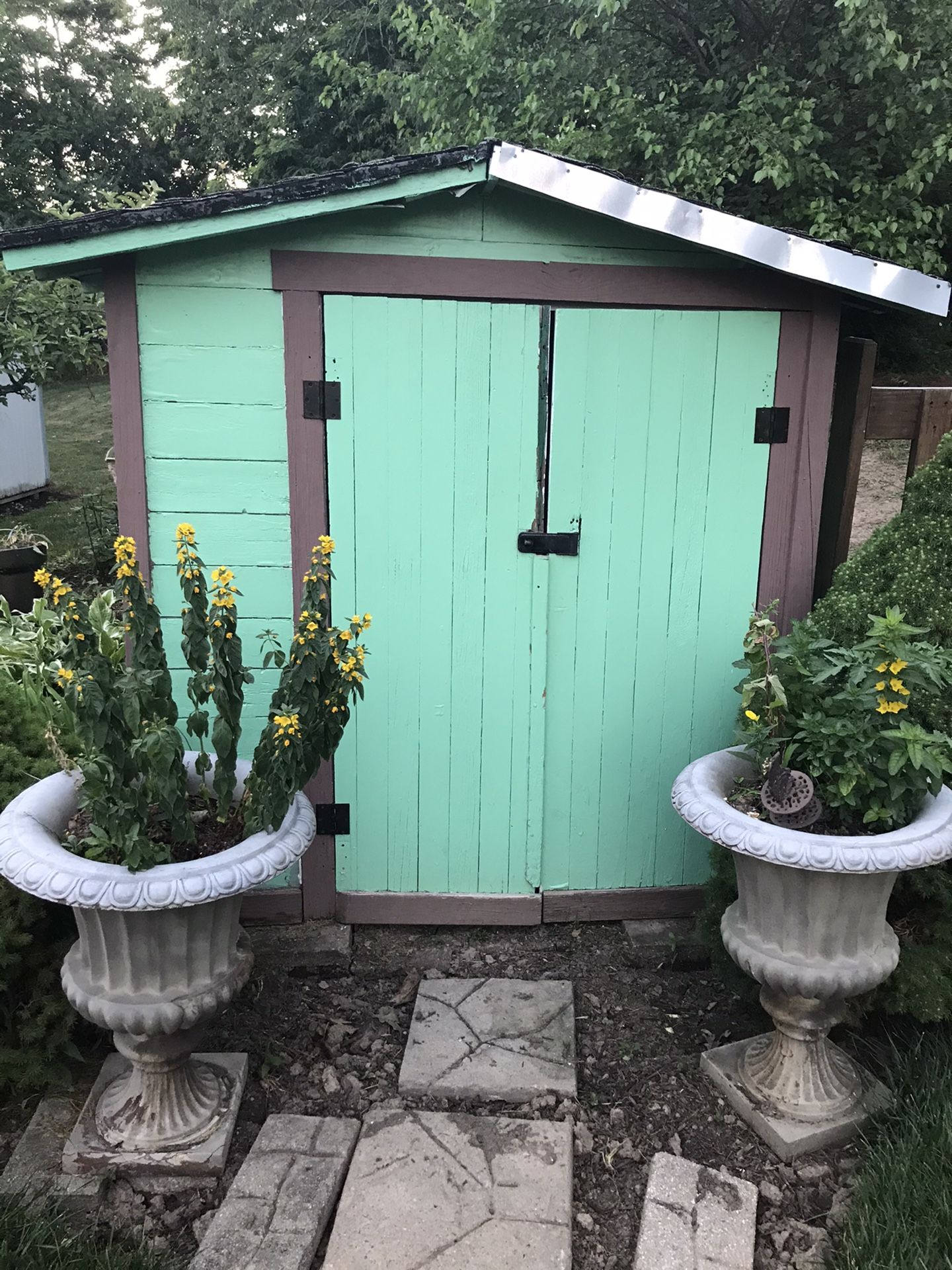 Vintage wooden shred could use a new roof but quite quaint . 6’ by 7.5 and 6.5 feet high . You transport $60