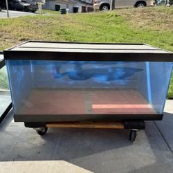 Fish Tank 