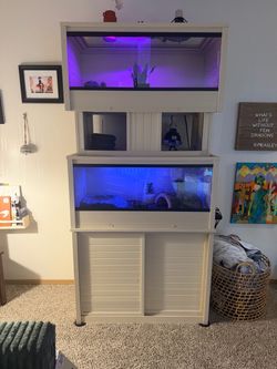 Large Reptile Enclosures & Storage Cabinet