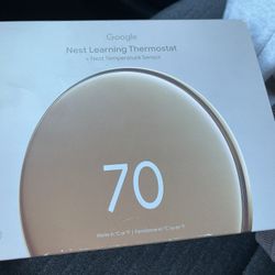 Thermostat Smart Google 