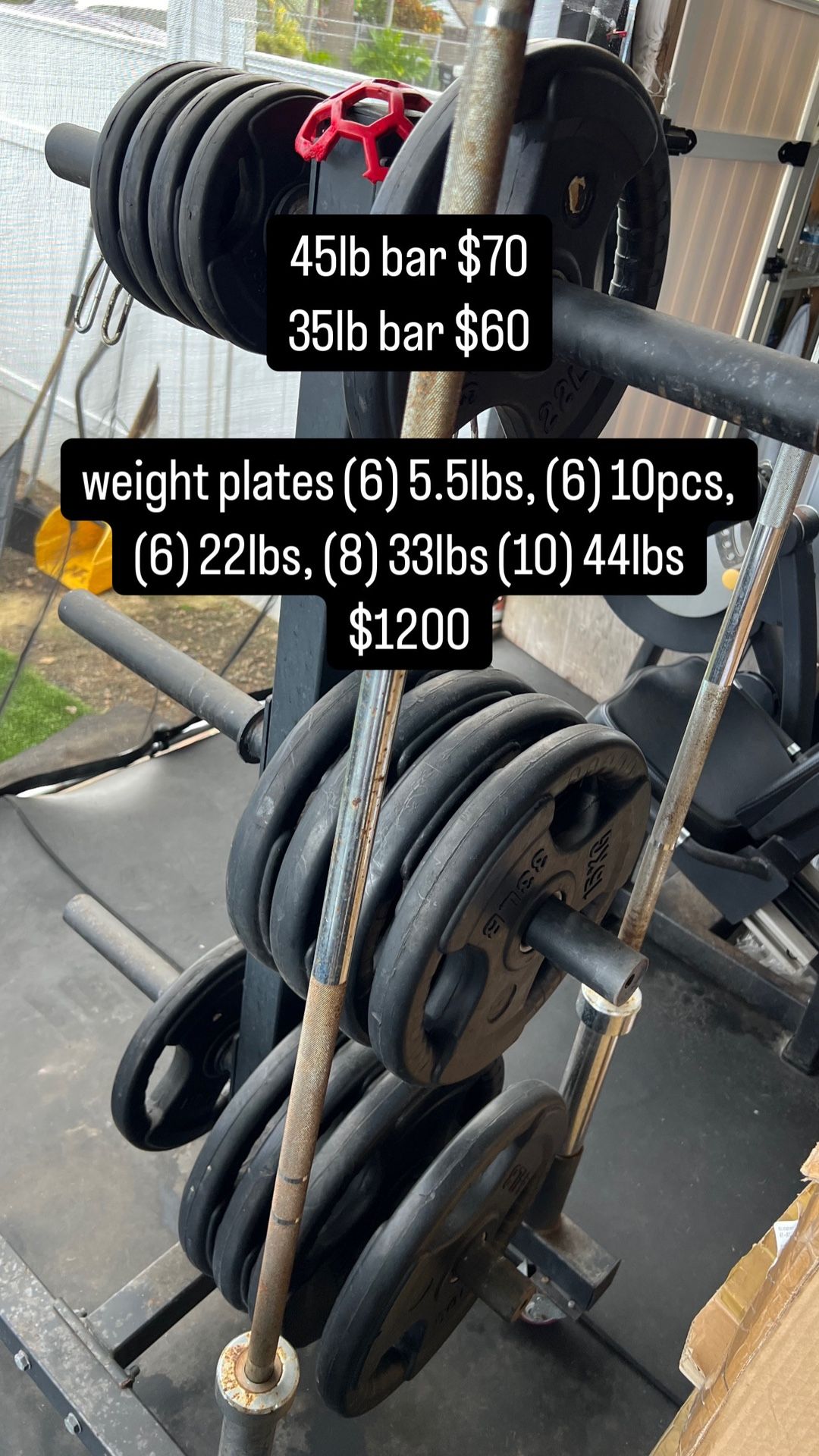 Barbell Weights