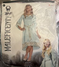Disney’s Aurora Costume