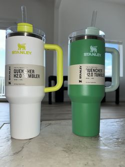 Stanley Tumblers (Spring Edition)