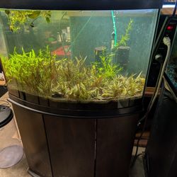 36 Gallon Bow Front Fish Tank 