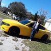 Toris 813-625-3137