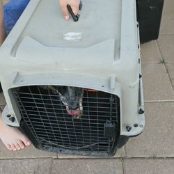 Large Dog Carrier