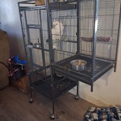 Umbrella  Cocktail Bird Cage