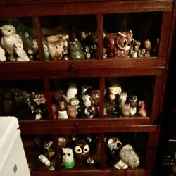 OWL COLLECTION