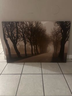 Wall decor/art/picture