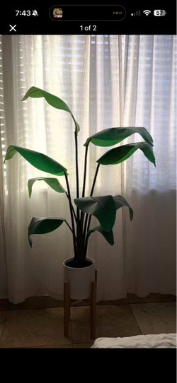 Large Artificial Bird of Paradise in Mid-Century Plant Stand