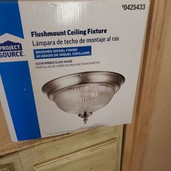 Ceiling Light Fixture              