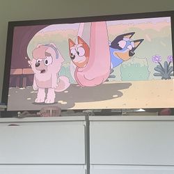 50” Flatscreen TV (Insignia)