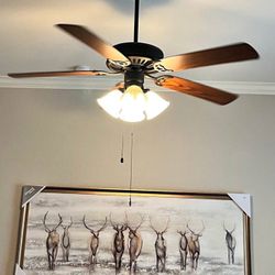 52” brown ceiling fan with light kit 