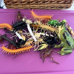 Pretend Bugs 10$ Pick Up Today 