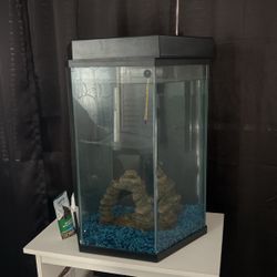 Fish Tank 