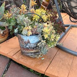 Succulent Arrangement In Hand Painted Metal Bucket